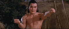 Martial Arts Dancing GIF by Shaw Brothers