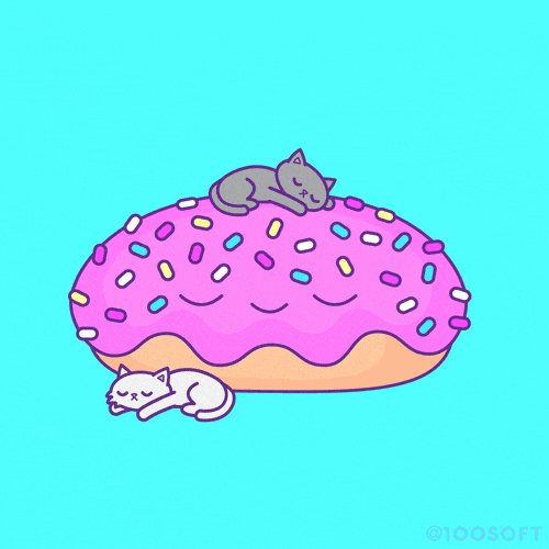 Cat Kitty GIF by 100 Soft Find & Share on GIPHY