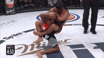 tap out GIF by Bellator