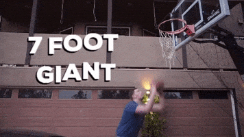 Basketball Dunk Gif By Tall Guys Free Find Share On Giphy