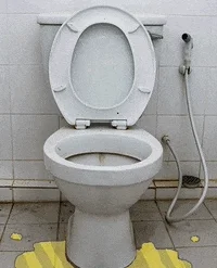 200w.webp?cid=790b76115d07ecc07778574963