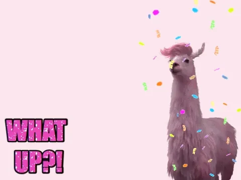giphy.webp