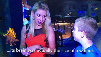 Double Take Dinosaur GIF