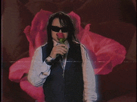 The Room Love GIF by Tommy Wiseau