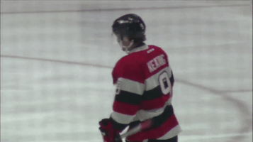 hockey yes GIF by Ottawa 67's