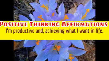 Motivation Affirmations GIF