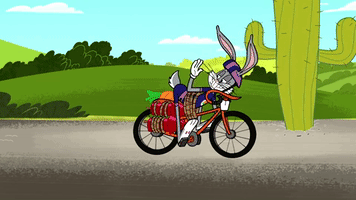 bike bunny GIF by Electric Cyclery
