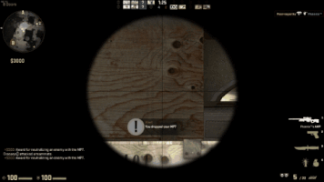 pazelloxu csgo GIF