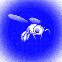 fly bug GIF by sahlooter