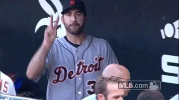 MLB sports time mlb tigers GIF