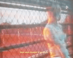 200.gif?cid=fc005b08cf905c4ff903d91606e85c9be4d108c9a9b1ad9d&rid=200.gif&ct=g
