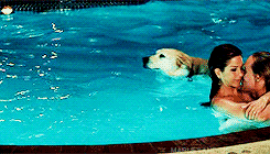 owen wilson swimming GIF by 20th Century Fox Home Entertainment