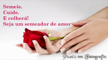 poesiaemfotografiadeby  GIF