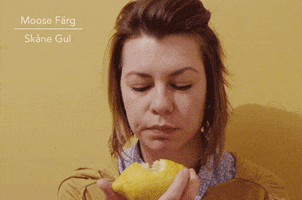 vitaliysoroka  GIF