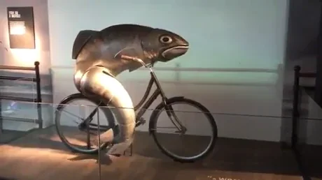 fish bicycle GIF by Electric Cyclery
