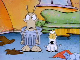 Rockos Modern Life Nicksplat GIF