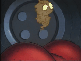 200.gif?cid=fc005b08bf02136740ab30388c1d99d334a7f2b225b6a907&rid=200.gif&ct=g