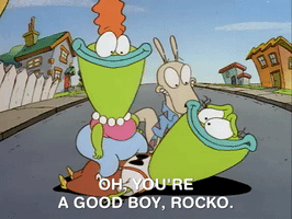 Rockos Modern Life Nicksplat GIF