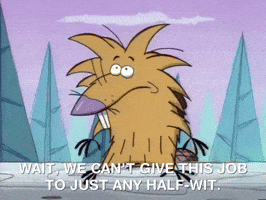 200.gif?cid=fc005b0813b5560cca4f8d0b11d5b6641aba3ffbabaeccd8&rid=200.gif&ct=g