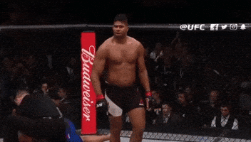 alistair overeem ufc GIF