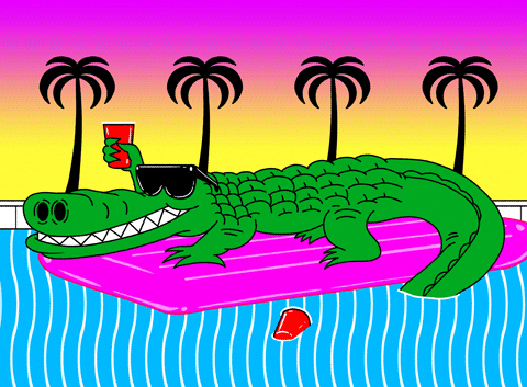 Wallygator Alligators Florida Deleon Springs Gifs Get The Best Gif On Giphy