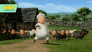 sheep dancing GIF by KiKA