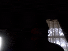 stephs  GIF