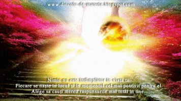gabyvasi mesaj iubire spiritualitate ingeri GIF