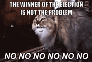 Cat Trump GIF