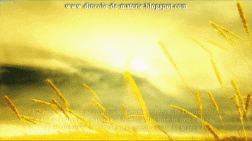 gabyvasi mesaj iubire spiritualitate ingeri GIF