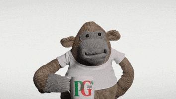 I Got This Wink GIF by PG Tips