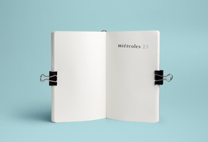 estudiobase12 branding formacion base12 GIF