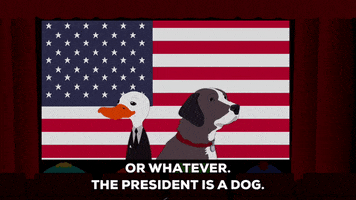 american flag dog GIF by South Park 
