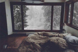 christaeed  GIF