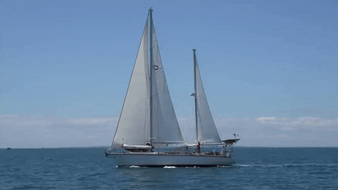 yacht sailing gif