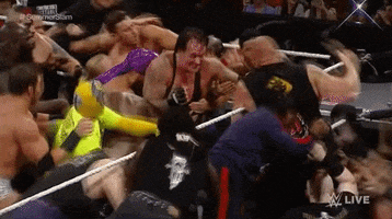 wrestling brawl GIF by WWE
