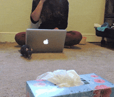 PanGif  GIF