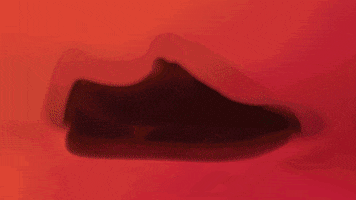 idmtr skate sneakers epik dlirium GIF