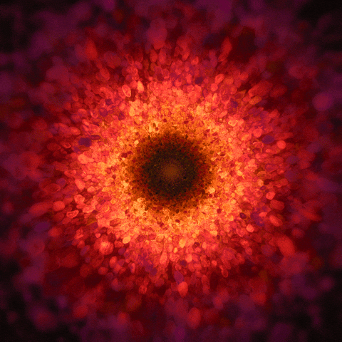 konczakowski fire red star sun GIF