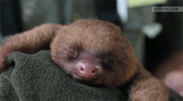 caiqmoretto  GIF