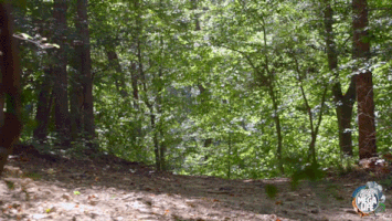 200.gif?cid=fc005b0864c354aca09822cdff4b9426b217add5c887a36e&rid=200.gif&ct=g
