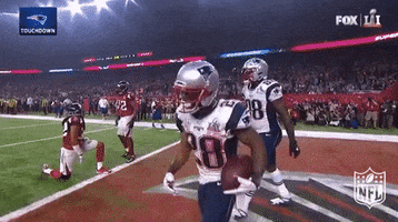 new england patriots GIF by NFL