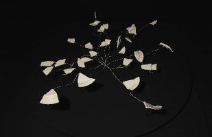 johanrijpma johan rijpma 12-11 break elastic recurrence GIF