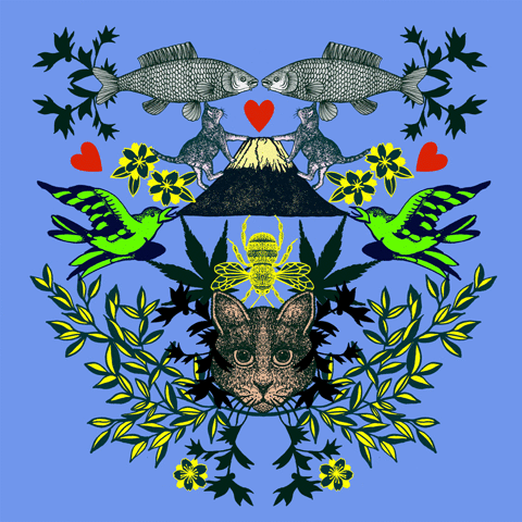 michaelcailloux cat chat michaelcailloux GIF