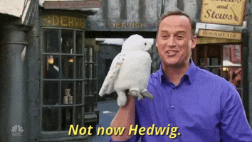 harry potter nbc GIF by The New Celebrity Apprentice