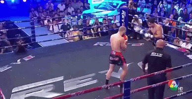 galvarez  GIF