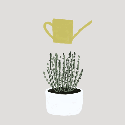 cinyeechiu  GIF