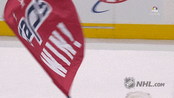 washington capitals GIF by NHL