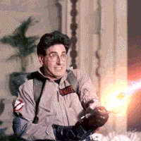 Catch Em All Ghostbusters 2 GIF by IFC