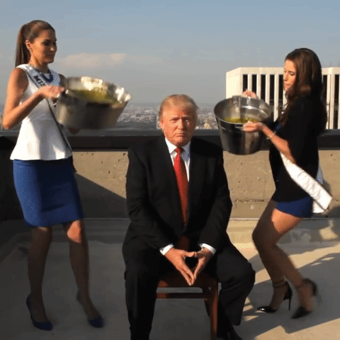 browser donald trump golden shower GIF